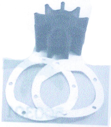 Impulsor Bomba CEF para Jabsco, Johnson, Diesel, Oberdorfer, Volvo-Penta, Cummins Ø25 95Χ63,1