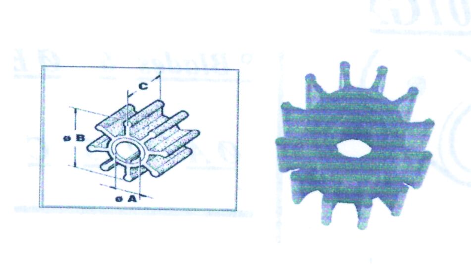Impulsor Bomba CEF para Jabsco,Johnson,Onan,Volvo-Penta, Perkins & Motor Yanm, Sole Ø14,4 57Χ31,6