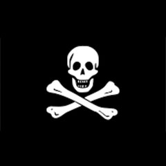 Bandera Pirata 30x45cm