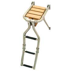 Plataforma Inox con escalera, 210x390mm